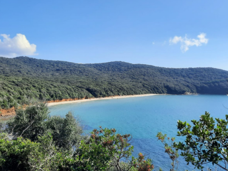 Cala violina-wandern-toskana